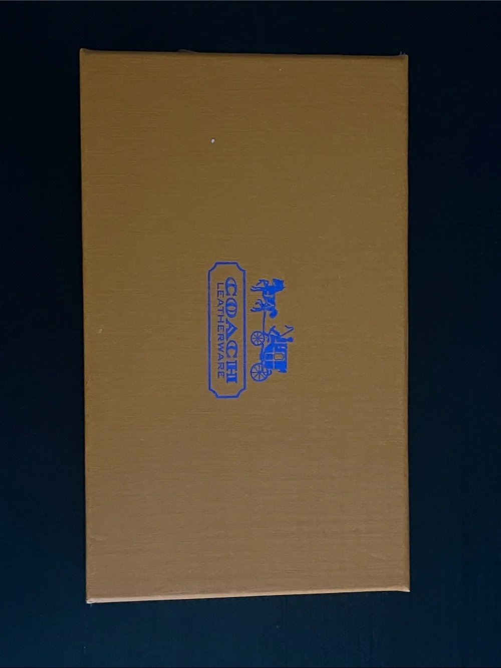 Coach Blue Canvas iPhone Case with Card Holder for 17 pro Mac